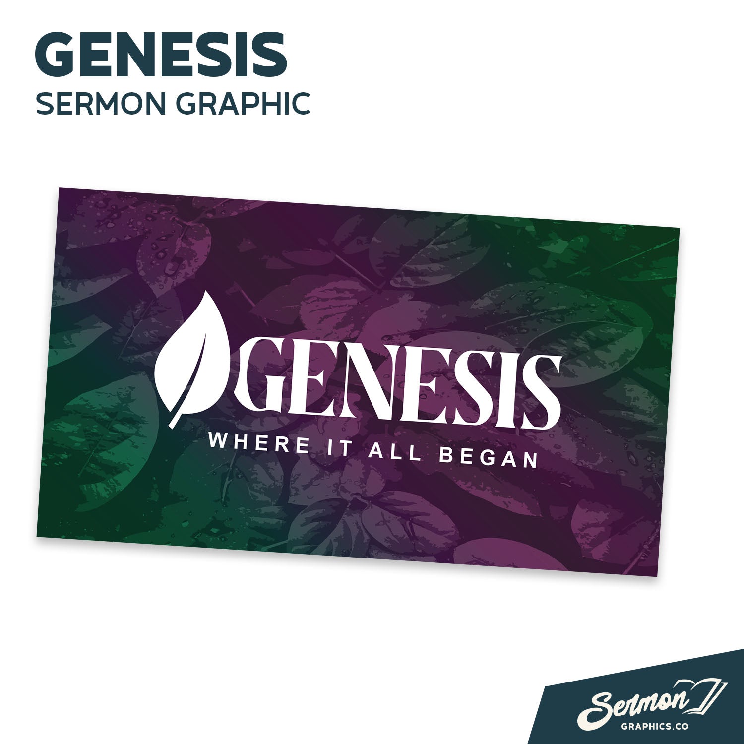 01 - Genesis Graphics Kit