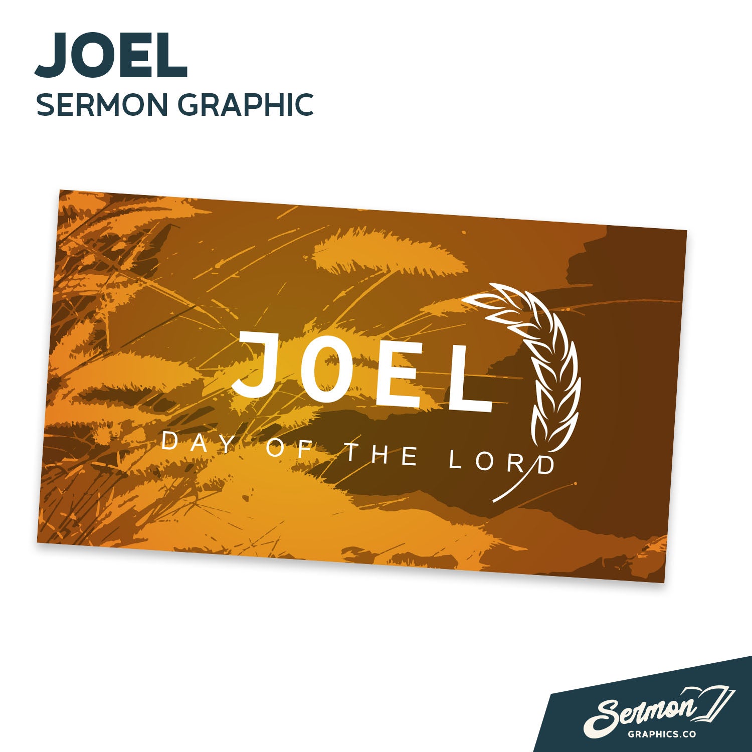 29 - Joel Graphics Kit